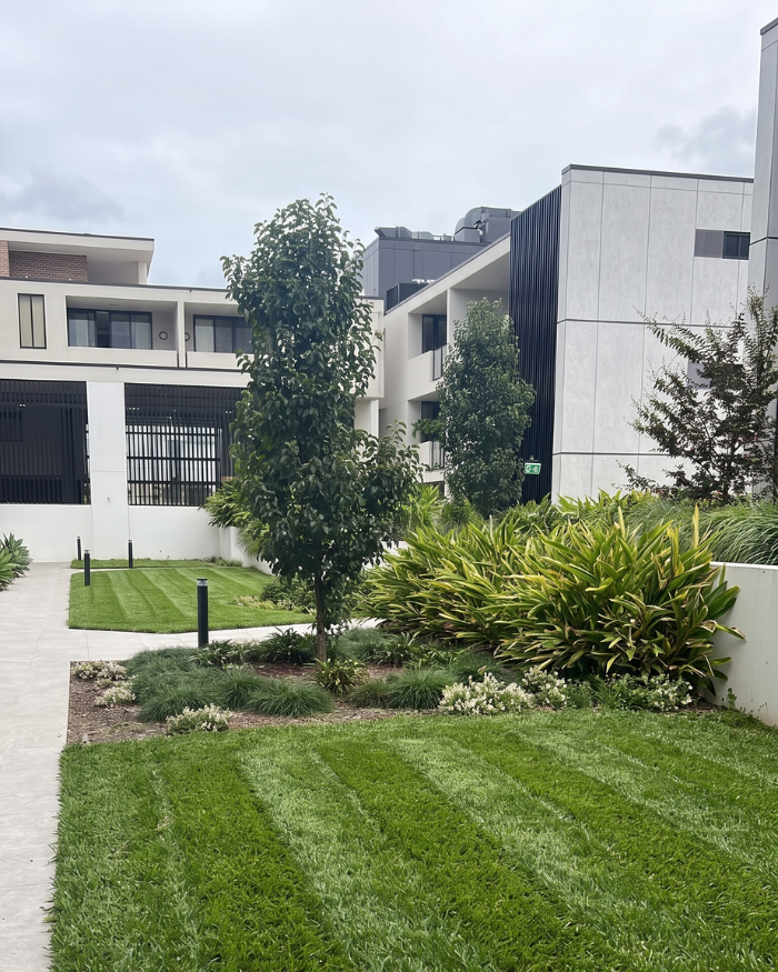 Commercial Grounds Maintenance